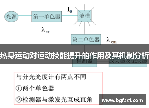 热身运动对运动技能提升的作用及其机制分析